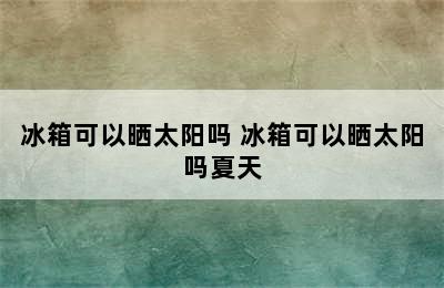 冰箱可以晒太阳吗 冰箱可以晒太阳吗夏天